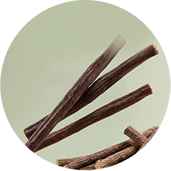Sanda - kruh